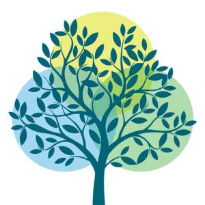 Ergotherapie bei den Linden